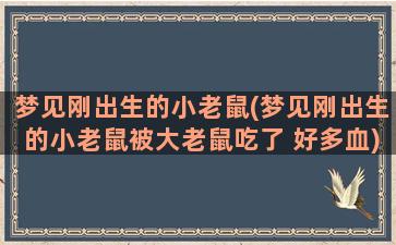 梦见刚出生的小老鼠(梦见刚出生的小老鼠被大老鼠吃了 好多血)